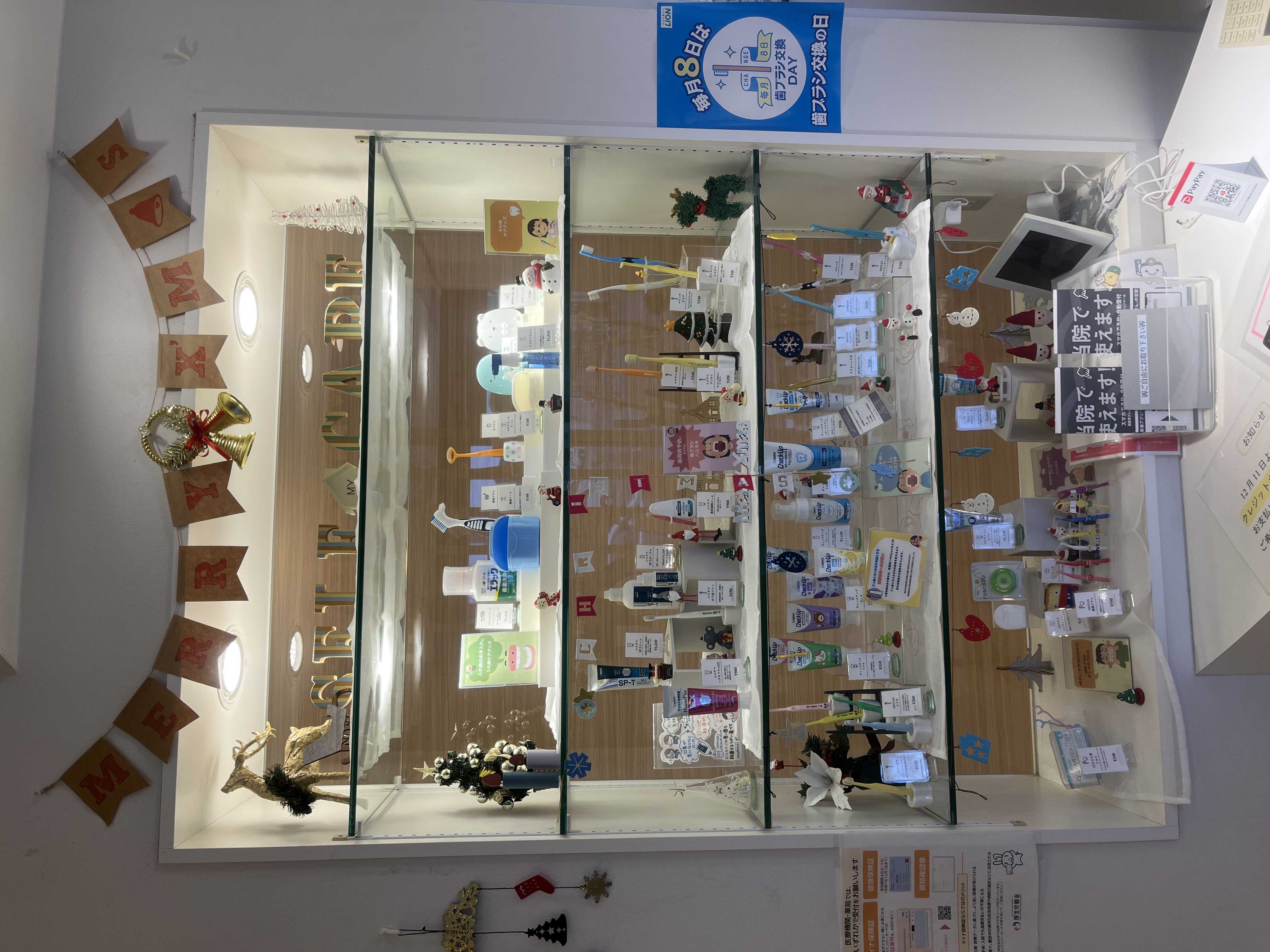 クリスマスのディスプレイに変更いたしました!